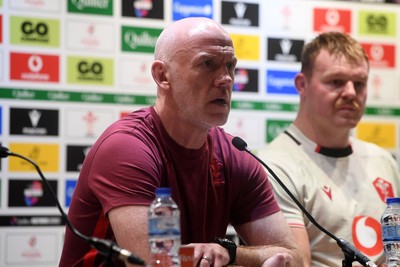 151125 - Wales v Japan - Quilter Nations Series - Steve Tandy, Wales Head Coach speaks in a press conference at full time