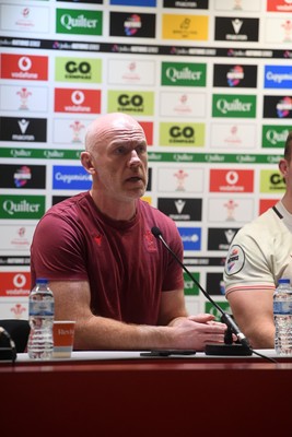 151125 - Wales v Japan - Quilter Nations Series - Steve Tandy, Wales Head Coach speaks in a press conference at full time