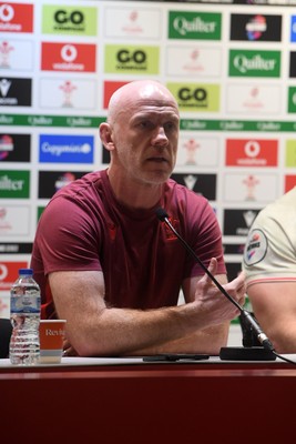 151125 - Wales v Japan - Quilter Nations Series - Steve Tandy, Wales Head Coach speaks in a press conference at full time