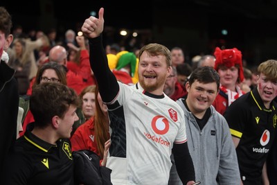 151125 - Wales v Japan - Quilter Nations Series - Wales fans celebrate as the winning kick goes through the posts