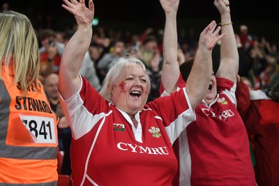 151125 - Wales v Japan - Quilter Nations Series - Wales fans celebrate as the winning kick goes through the posts