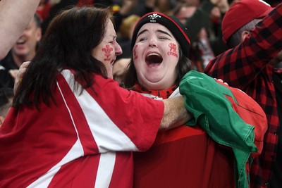 151125 - Wales v Japan - Quilter Nations Series - Wales fans celebrate as the winning kick goes through the posts