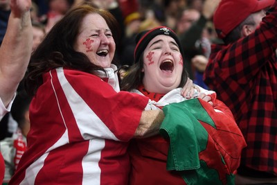 151125 - Wales v Japan - Quilter Nations Series - Wales fans celebrate as the winning kick goes through the posts