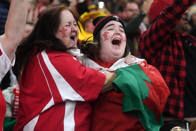 151125 - Wales v Japan - Quilter Nations Series - Wales fans celebrate as the winning kick goes through the posts