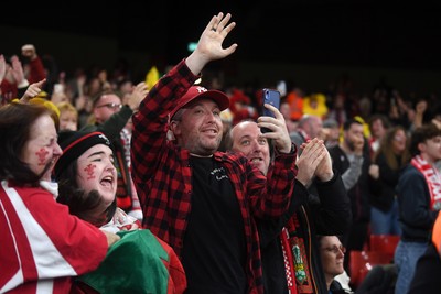 151125 - Wales v Japan - Quilter Nations Series - Wales fans celebrate as the winning kick goes through the posts