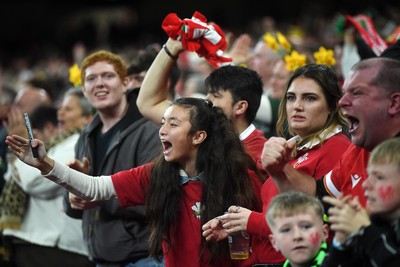 151125 - Wales v Japan - Quilter Nations Series - Wales fans celebrate as the winning kick goes through the posts
