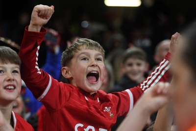 151125 - Wales v Japan - Quilter Nations Series - Wales fans celebrate as the winning kick goes through the posts
