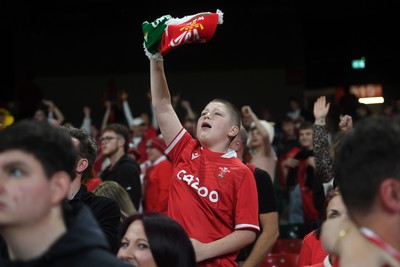 151125 - Wales v Japan - Quilter Nations Series - Wales fans celebrate as the winning kick goes through the posts