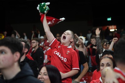 151125 - Wales v Japan - Quilter Nations Series - Wales fans celebrate as the winning kick goes through the posts