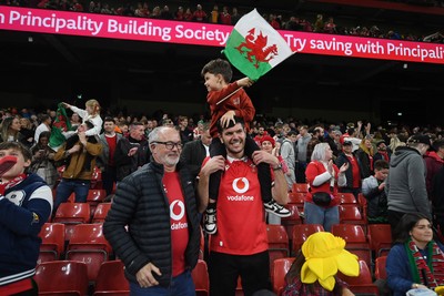 151125 - Wales v Japan - Quilter Nations Series - Wales fans celebrate as the winning kick goes through the posts