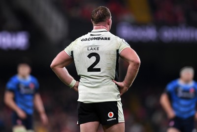 151125 - Wales v Japan - Quilter Nations Series - Dewi Lake of Wales