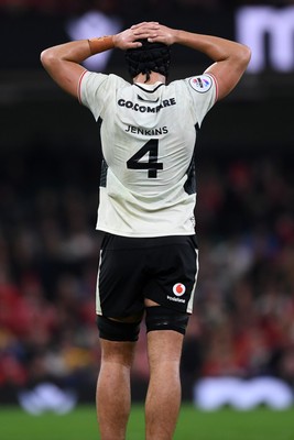 151125 - Wales v Japan - Quilter Nations Series - Dafydd Jenkins of Wales