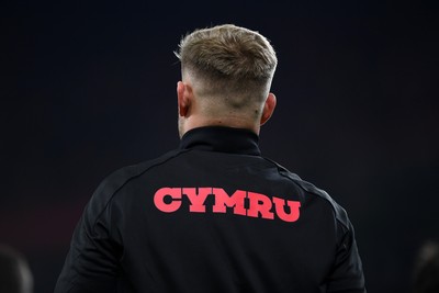 151125 - Wales v Japan - Quilter Nations Series - 