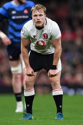 151125 - Wales v Japan - Quilter Nations Series - Blair Murray of Wales