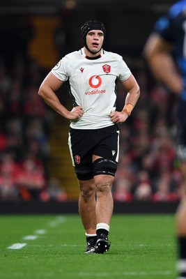 151125 - Wales v Japan - Quilter Nations Series - Dafydd Jenkins of Wales