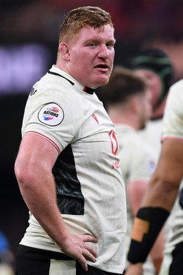 151125 - Wales v Japan - Quilter Nations Series - Rhys Carre of Wales