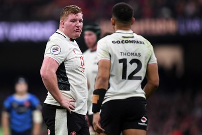 151125 - Wales v Japan - Quilter Nations Series - Rhys Carre of Wales