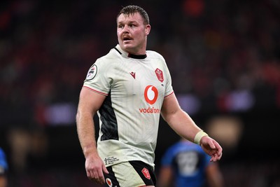 151125 - Wales v Japan - Quilter Nations Series - Dewi Lake of Wales