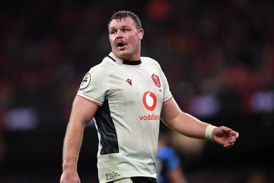 151125 - Wales v Japan - Quilter Nations Series - Dewi Lake of Wales