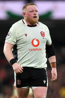 151125 - Wales v Japan - Quilter Nations Series - Keiron Assiratti of Wales