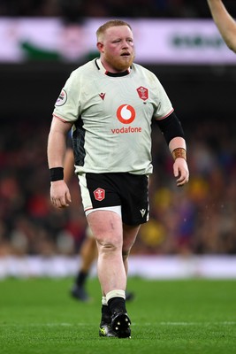 151125 - Wales v Japan - Quilter Nations Series - Keiron Assiratti of Wales