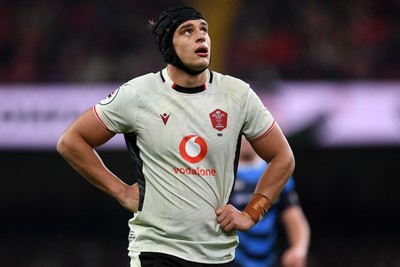 151125 - Wales v Japan - Quilter Nations Series - Dafydd Jenkins of Wales