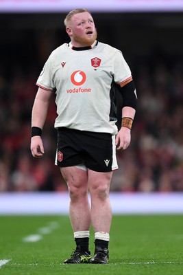 151125 - Wales v Japan - Quilter Nations Series - Keiron Assiratti of Wales