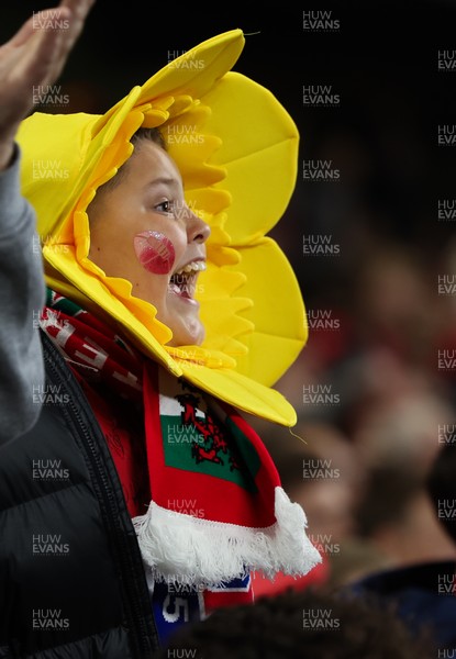 151125 - Wales v Japan, Quilter Nations Series - Wales fans celebrate after the opening try