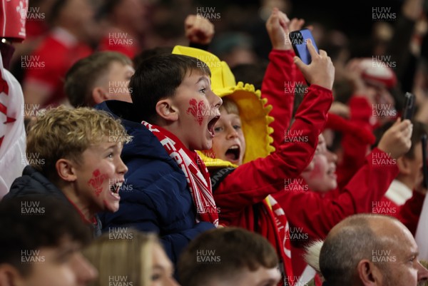 151125 - Wales v Japan, Quilter Nations Series - Wales fans celebrate after the opening try