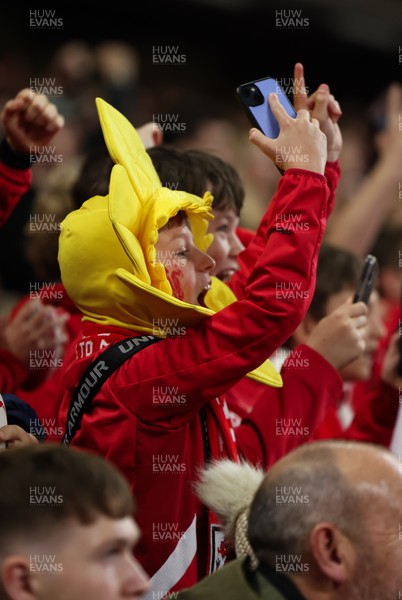 151125 - Wales v Japan, Quilter Nations Series - Wales fans celebrate after the opening try