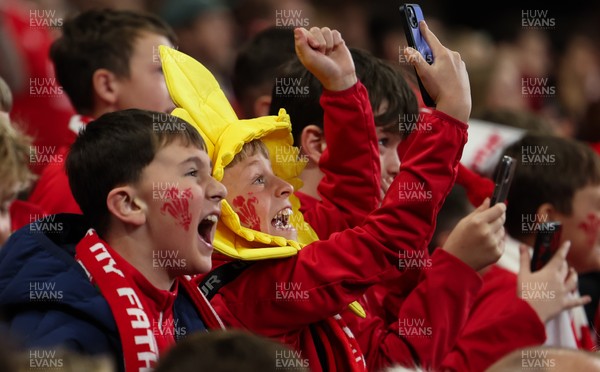 151125 - Wales v Japan, Quilter Nations Series - Wales fans celebrate after the opening try