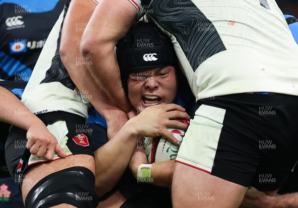151125 - Wales v Japan, Quilter Nations Series - Kenta Kobayashi of Japan is held