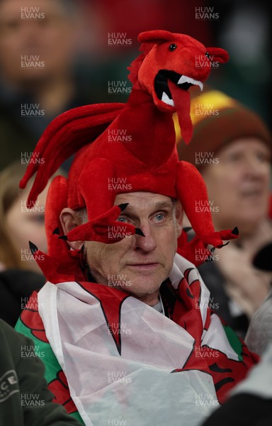 151125 - Wales v Japan, Quilter Nations Series - Wales fans react during the match