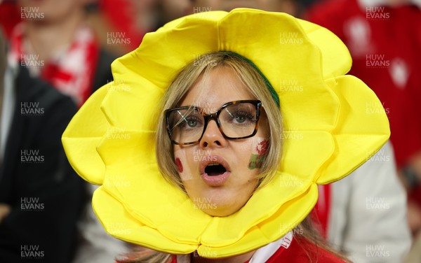 151125 - Wales v Japan, Quilter Nations Series - Wales fans react during the match