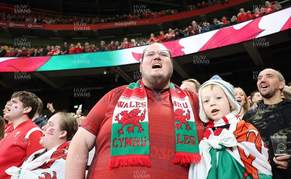 151125 - Wales v Japan, Quilter Nations Series - Wales fans react during the match