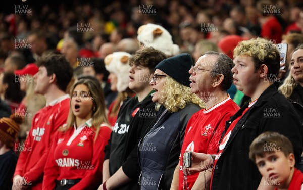 151125 - Wales v Japan, Quilter Nations Series - Wales fans react during the match