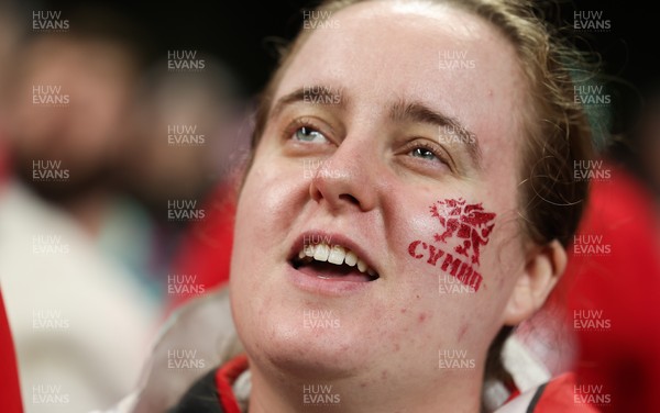 151125 - Wales v Japan, Quilter Nations Series - Wales fans react during the match