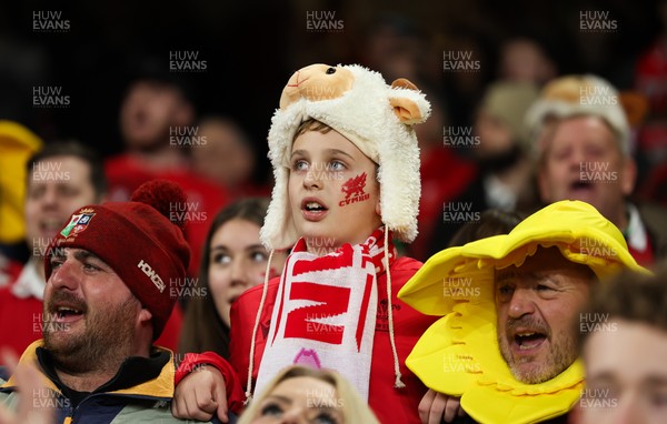 151125 - Wales v Japan, Quilter Nations Series - Wales fans react during the match