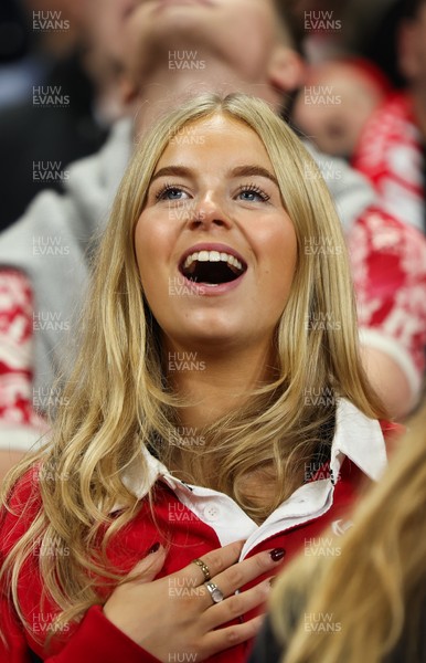151125 - Wales v Japan, Quilter Nations Series - Wales fans react during the match