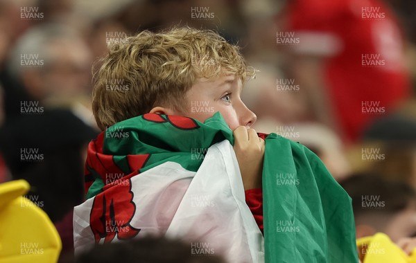 151125 - Wales v Japan, Quilter Nations Series - Wales fans react during the match