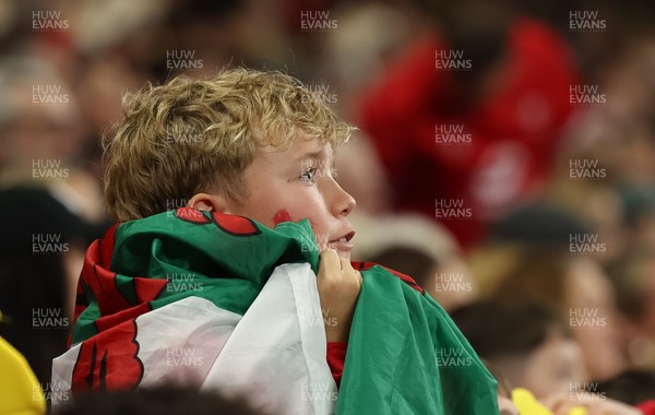 151125 - Wales v Japan, Quilter Nations Series - Wales fans react during the match
