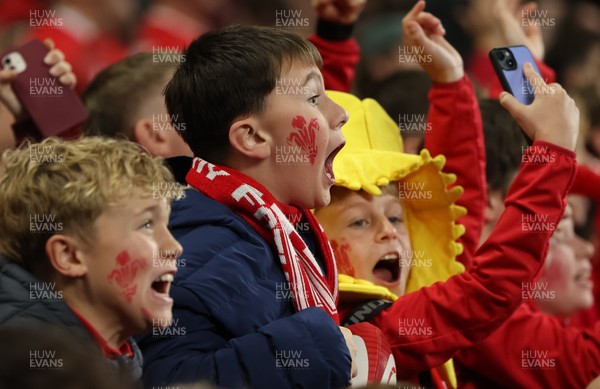 151125 - Wales v Japan, Quilter Nations Series - Wales fans react during the match
