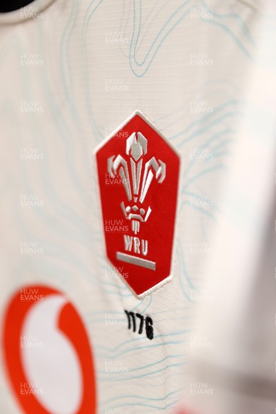 151125 - Wales v Japan - Quilter Nations Series - Wales dressing room before the game