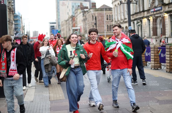 151125 - Wales v Japan - Quilter Nations Series - Fans outside the stadium