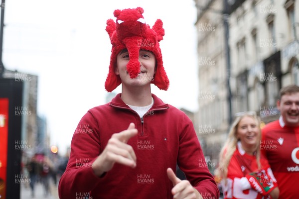 151125 - Wales v Japan - Quilter Nations Series - Fans outside the stadium