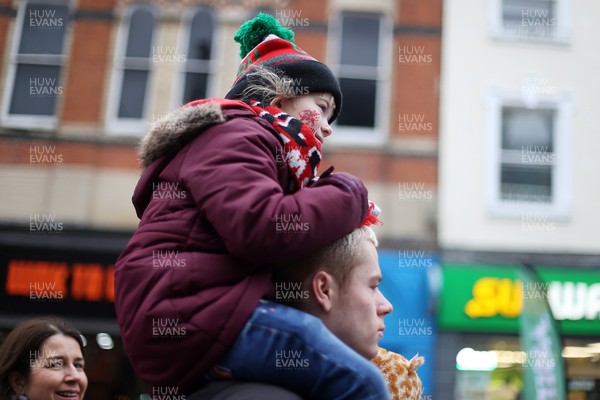 151125 - Wales v Japan - Quilter Nations Series - Fans outside the stadium