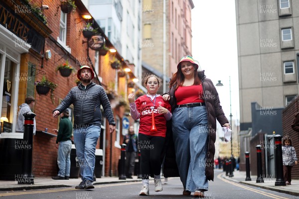 151125 - Wales v Japan - Quilter Nations Series - Fans outside the stadium