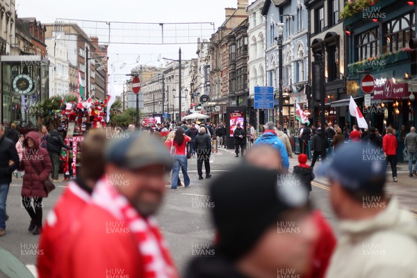 151125 - Wales v Japan - Quilter Nations Series - Fans outside the stadium