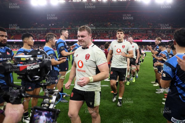 151125 - Wales v Japan - Quilter Nations Series - Dewi Lake of Wales at full time