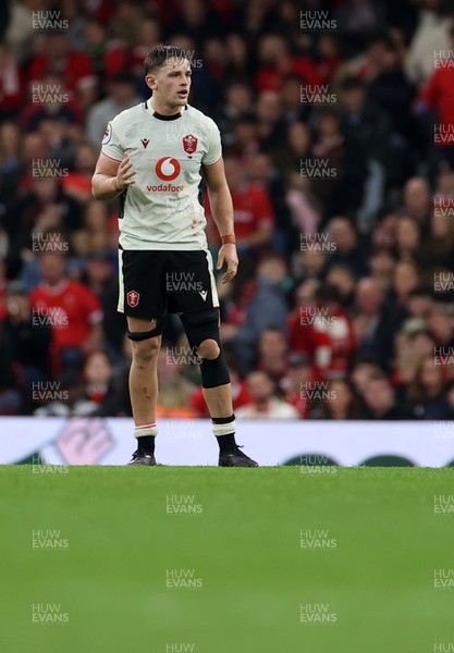 151125 - Wales v Japan - Quilter Nations Series - Alex Mann of Wales 